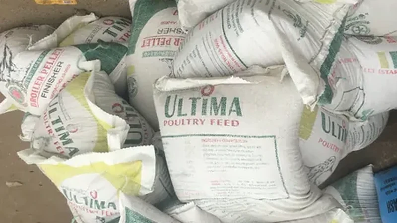 Grain bags and sacks stacked for export shipment