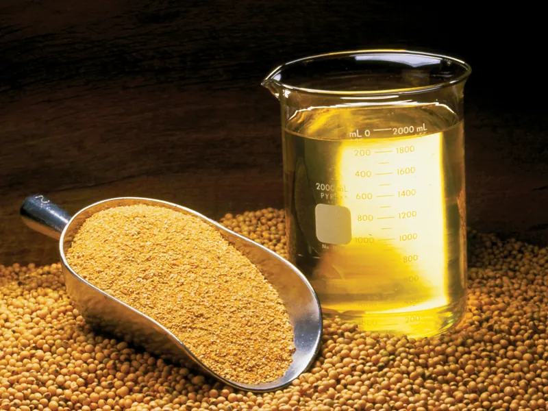 Certified Non-GMO soybeans
